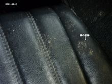 猫はセブン内で・・・丸くなる？