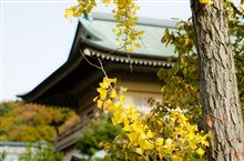 大原山 西福寺