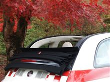 京都の紅葉