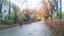 OB会