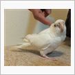 ありがとうね　プーちゃん