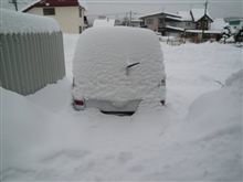 で、今日はドカ雪ですか・・・orz