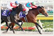 今日の競馬はジャパンカップダートと第6回スカイラインをただ並べる会告知 今日の競馬はジャパンカップダートと第6回スカイラインをただ並べる会告知