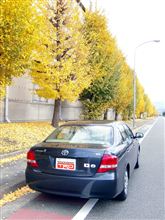 なにかしら慌ただしい師走の日曜日