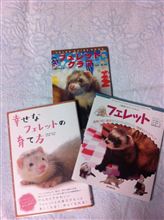 準備終盤戦！？