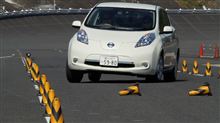 リーフのダイナミックテスト リーフのダイナミックテスト