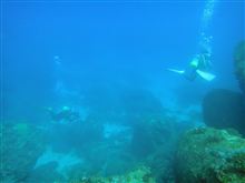 屋久島旅日記　(4)　ダイビング編