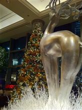 クリスマスツリー探索in横浜ロイヤルパークホテル