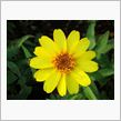 おはようさんで～す♪　[11/12/06]