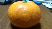 訴訟訴訟訴訟