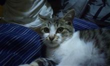 新しい家族が、できました(^-^)v
