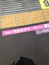 今日は、、、