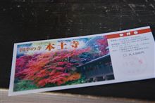 2011  紅葉　第二弾！