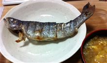 丹沢から来た鱒の塩焼き