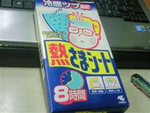 今日は…