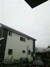 積もりそう。。