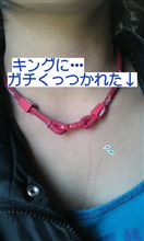 ビビりみった～始動！