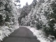 初雪