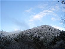 雪化粧な花脊、冷え込みややマシでした。