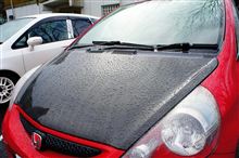 ザ・carbon bonnet