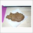 チョコクリームたい焼き！