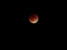 夜空を見よう～♪♪　（＃＾Ｏ＾＃）ノ