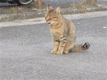 名前決めました