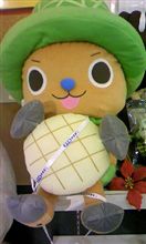 今年最後の越前ナイトオフ～♪