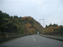 千葉県の自称「オールージュ」コーナー