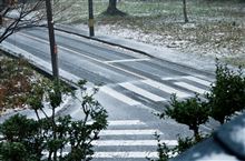 初雪。