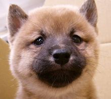 今までで1番焦ったトラブル((+_+))