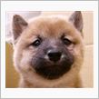今までで1番焦ったトラブル( ...