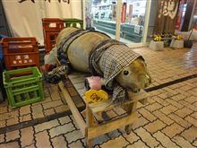 南極大陸・・・みたいな・・・