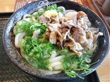 今日のうどん