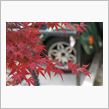 2011 12 14 もしも ...