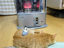ぬくぬく
