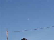爆睡し見られず…