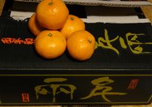 日の丸みかん「千両」。