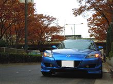 紅葉も惜しまい...