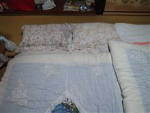 床の準備が出来ました(笑)