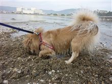 初海♪ 初海♪
