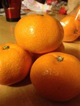 みかんといえば