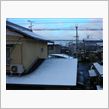 初雪