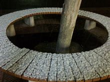 こちらは適度の雪