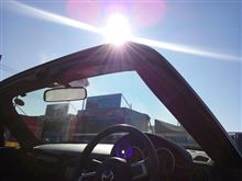 今日も天気が良いですね♪