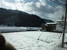 雪やし