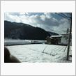 雪やし
