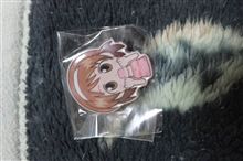 早苗タソ大好きよん♪
