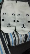 カピバラさんの靴下