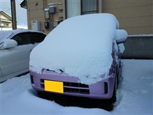 積もりましたねぇ